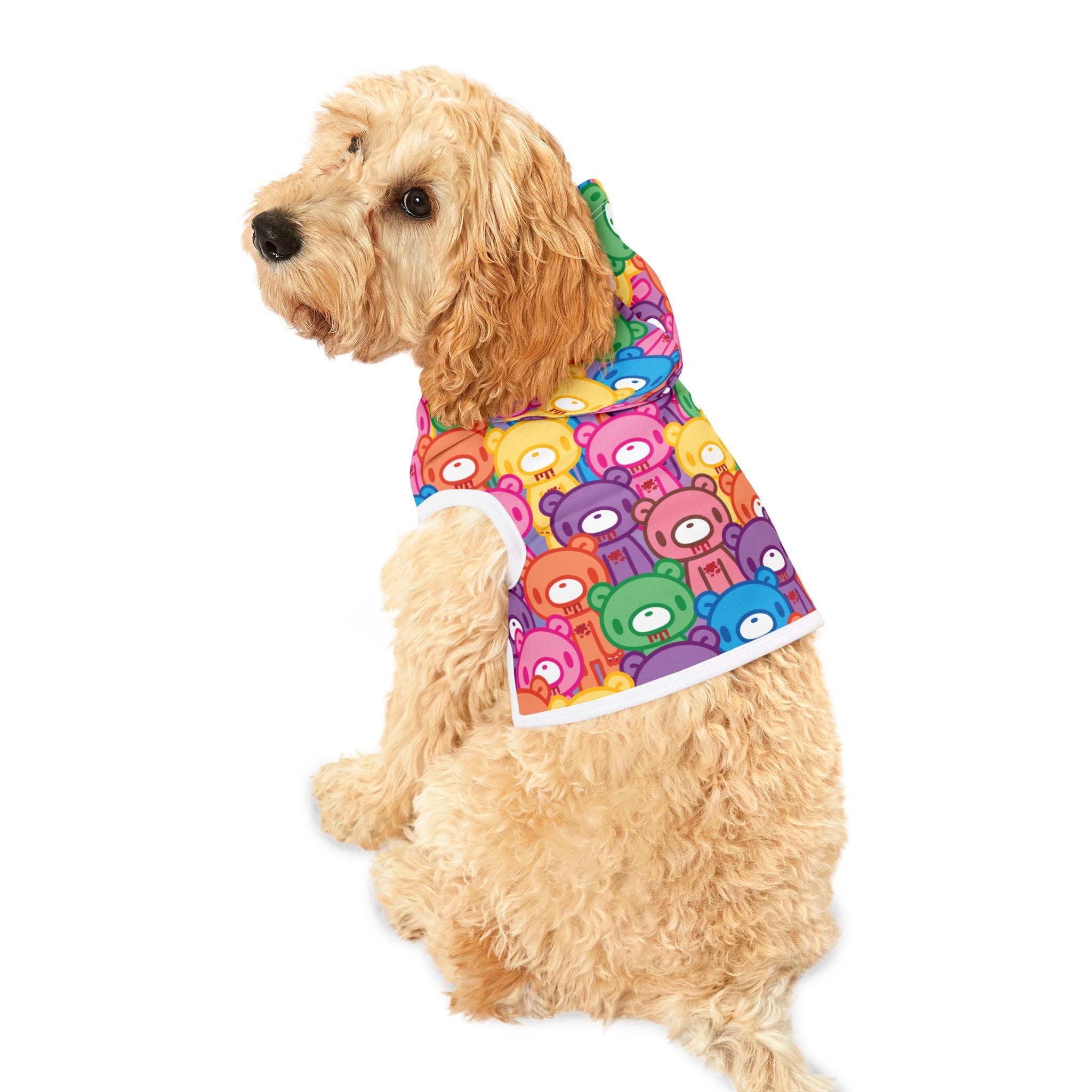 Gloomy Bear "Rainbow Dreams" Pet Hoodie
